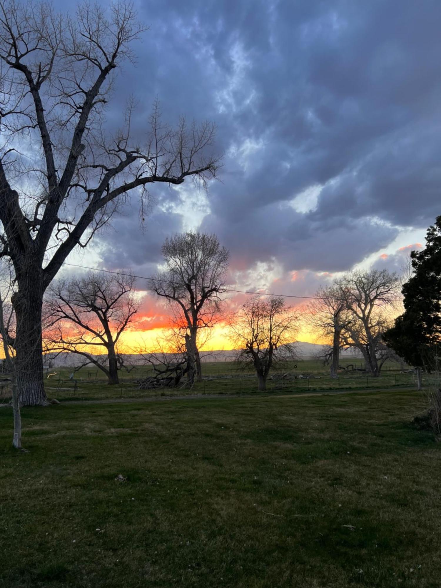 Hudson House Bed And Breakfast Wheatland エクステリア 写真